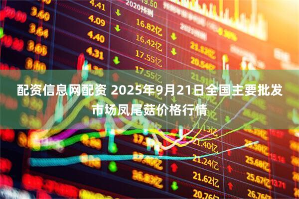 配资信息网配资 2025年9月21日全国主要批发市场凤尾菇价格行情
