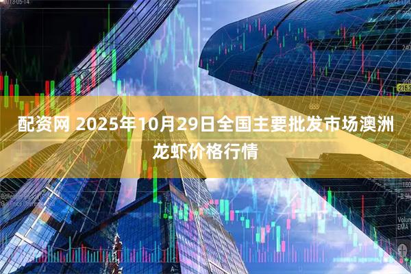 配资网 2025年10月29日全国主要批发市场澳洲龙虾价格行情