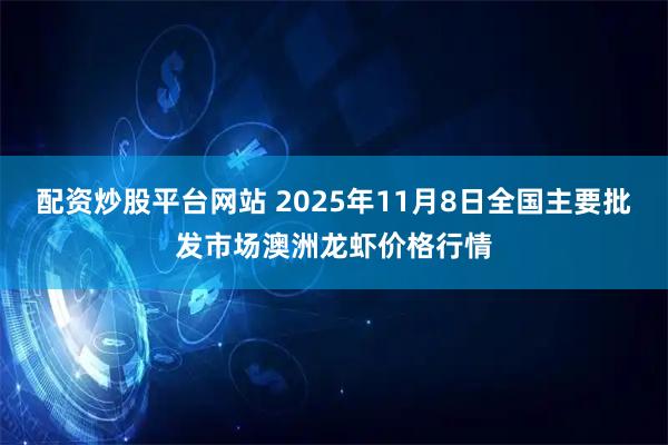 配资炒股平台网站 2025年11月8日全国主要批发市场澳洲龙虾价格行情